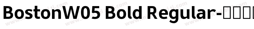 BostonW05 Bold Regular字体转换